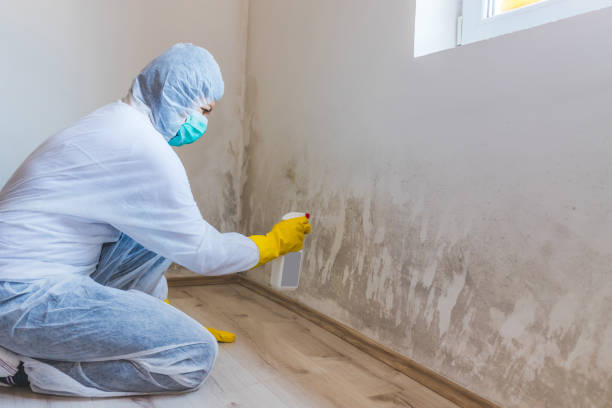 Hvac And Air Duct Mold Remediation inspection of HVAC system in Andover